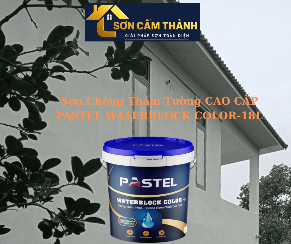 Sơn Chống Thấm Tường Cao Cấp Pastel Waterblock Color