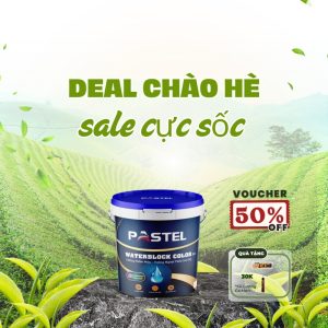 Sơn Chống Thấm Tường Cao Cấp Pastel Waterblock Color- 18L (P13)
