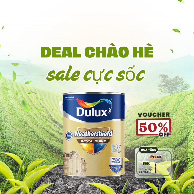 mua sơn tặng cọ (9)