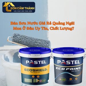 Bán Sơn Nước Giá Rẻ Quảng Ngãi – Mua Ở Đâu Uy Tín, Chất Lượng?
